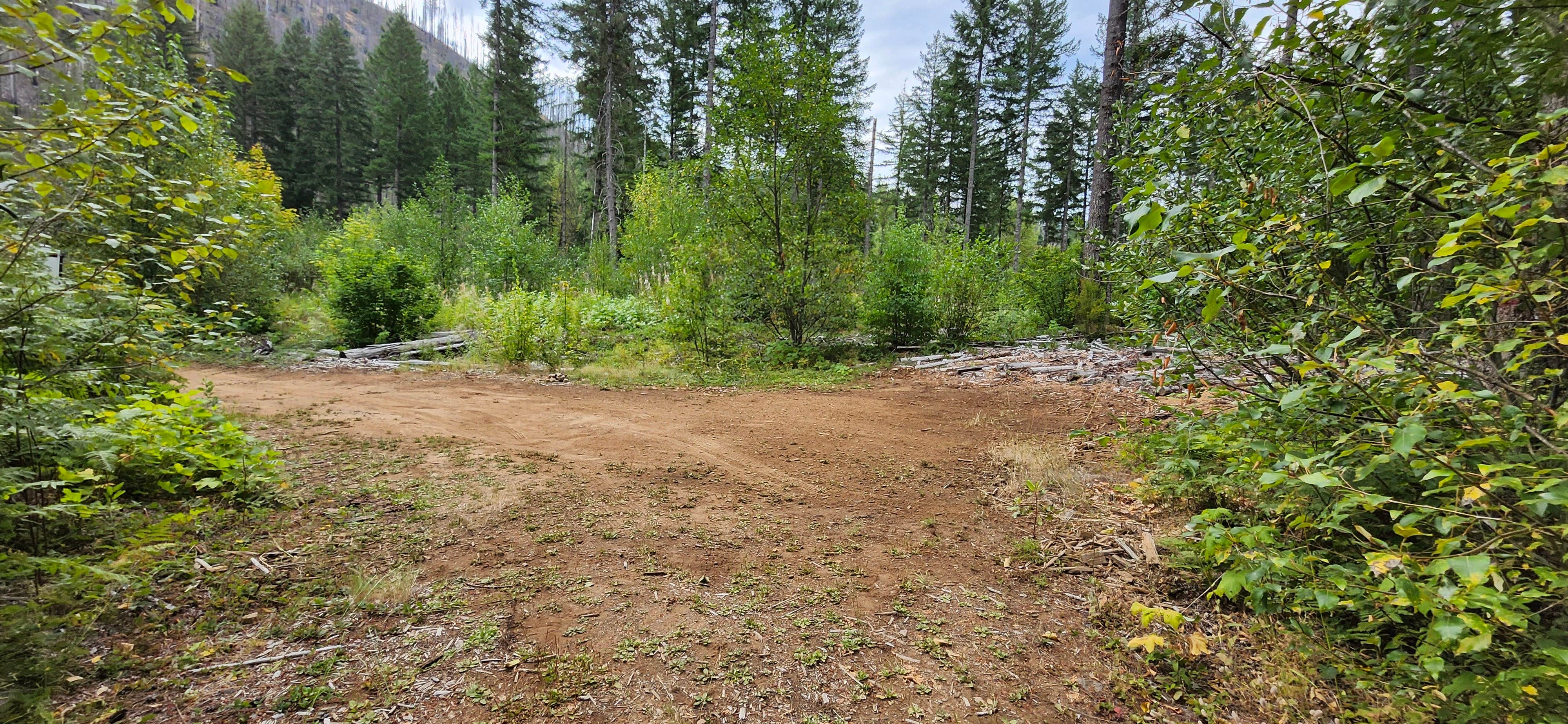 Camping near Clark Creek Organization Campground: North Fork of the Middle Fork Willamette River, Oakridge, Oregon