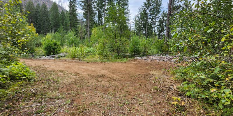 Camper submitted image from North Fork of the Middle Fork Willamette River