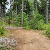 Review photo of North Fork of the Middle Fork Willamette River by Eric C., August 22, 2026