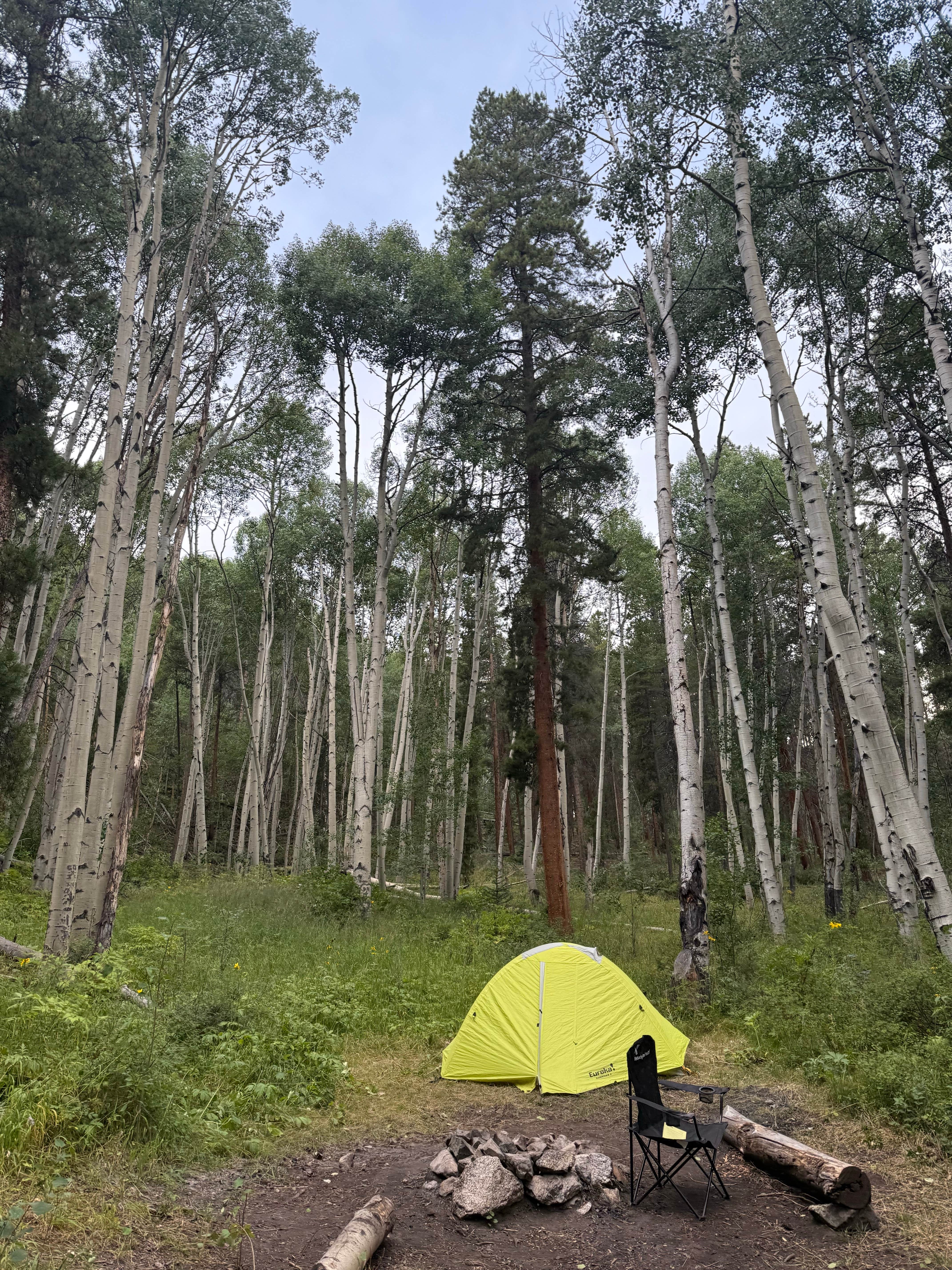 Camping near Fooses Creek Dispersed Camping: North Fork on South Arkansas River, Poncha Springs, Colorado