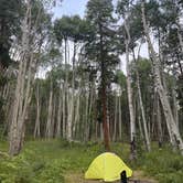 Review photo of North Fork on South Arkansas River by Jamie W., May 29, 2026
