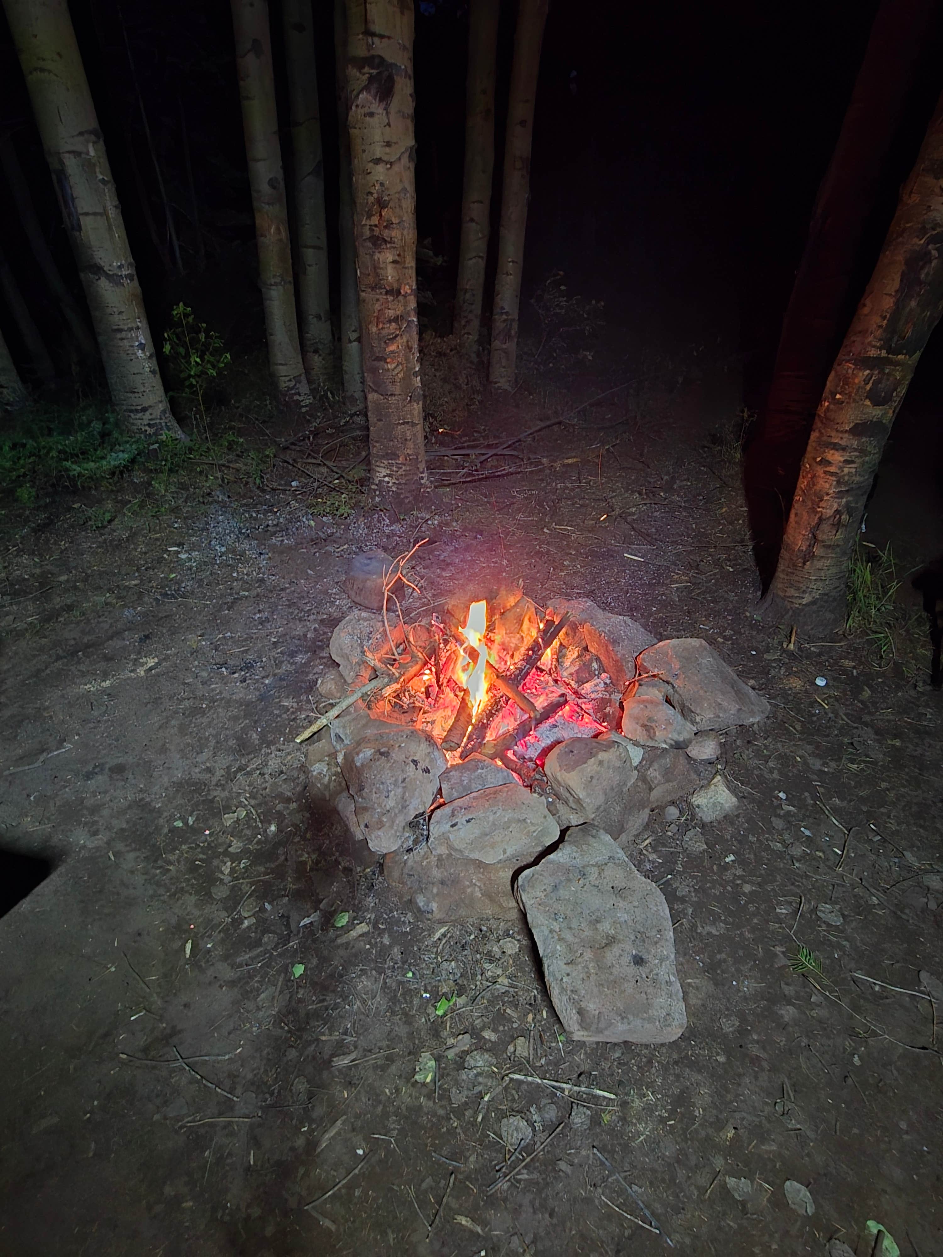 Camper-submitted photo at North Fork Purgatiore River near La Veta, CO