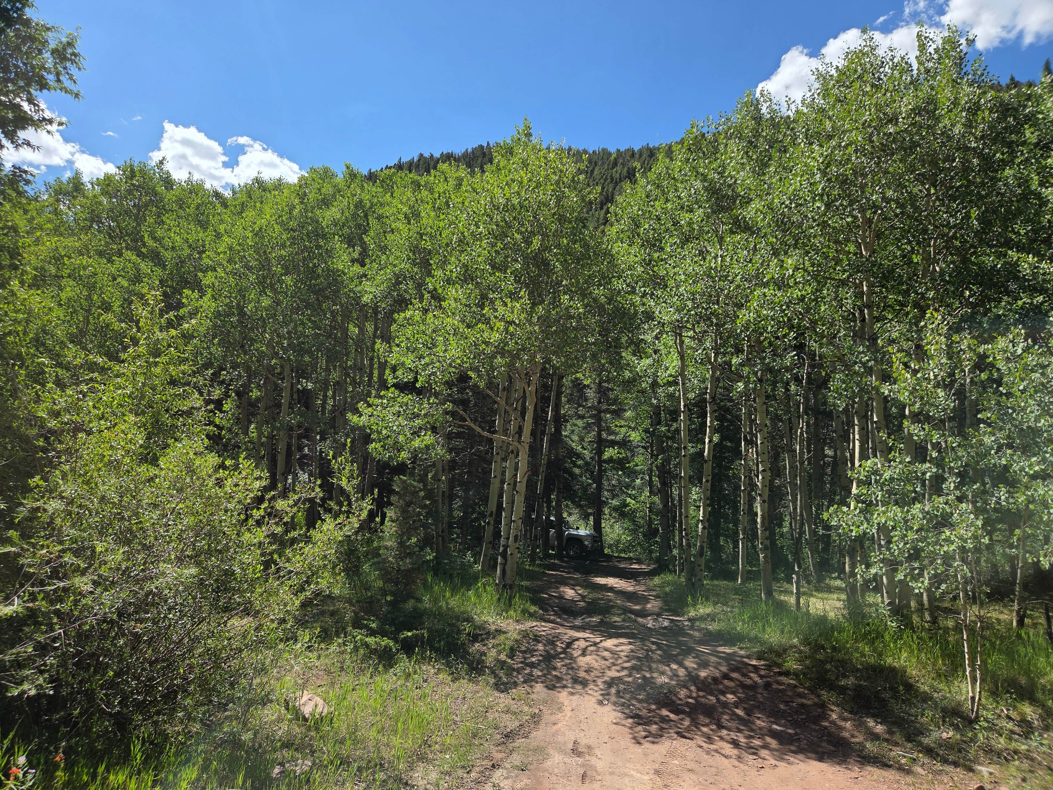 Camper submitted image from North Fork Purgatiore River - 5