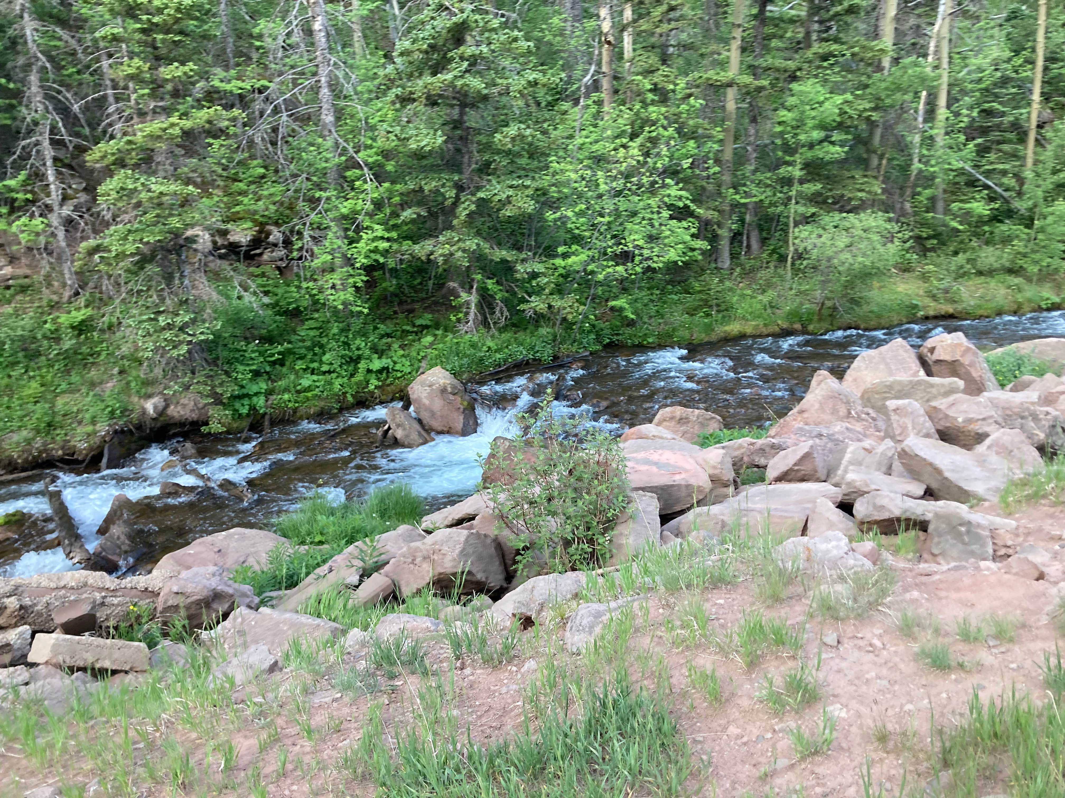 Camper submitted image from North Fork Purgatiore River - 4