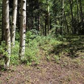 Review photo of North Fork Purgatiore River by Julissa M., August 21, 2025