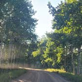 Review photo of North Fork Purgatiore River by Brittany M., September 5, 2025