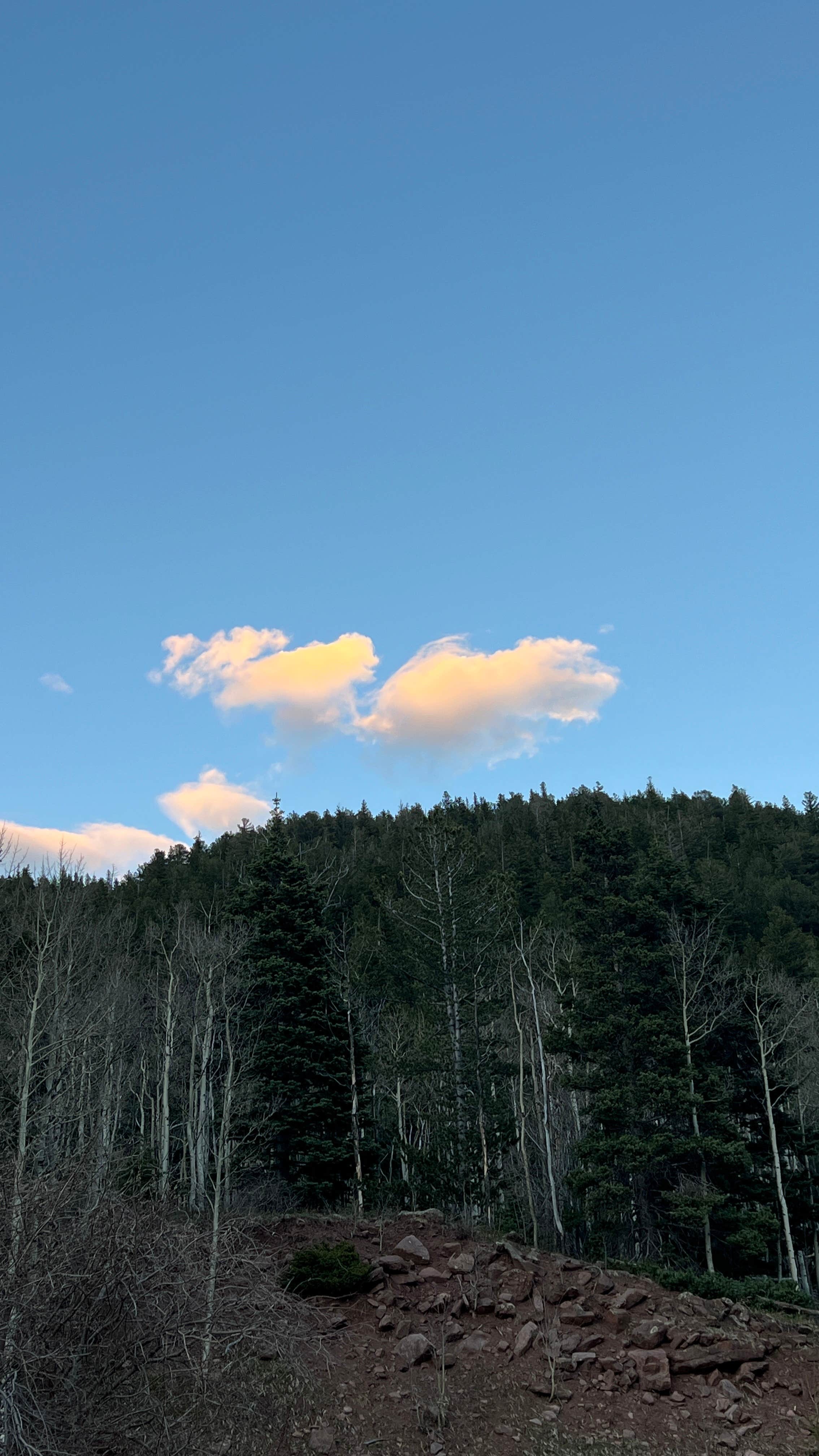 Mark's photo of a dispersed camping area at North Fork Purgatiore River near La Veta, CO
