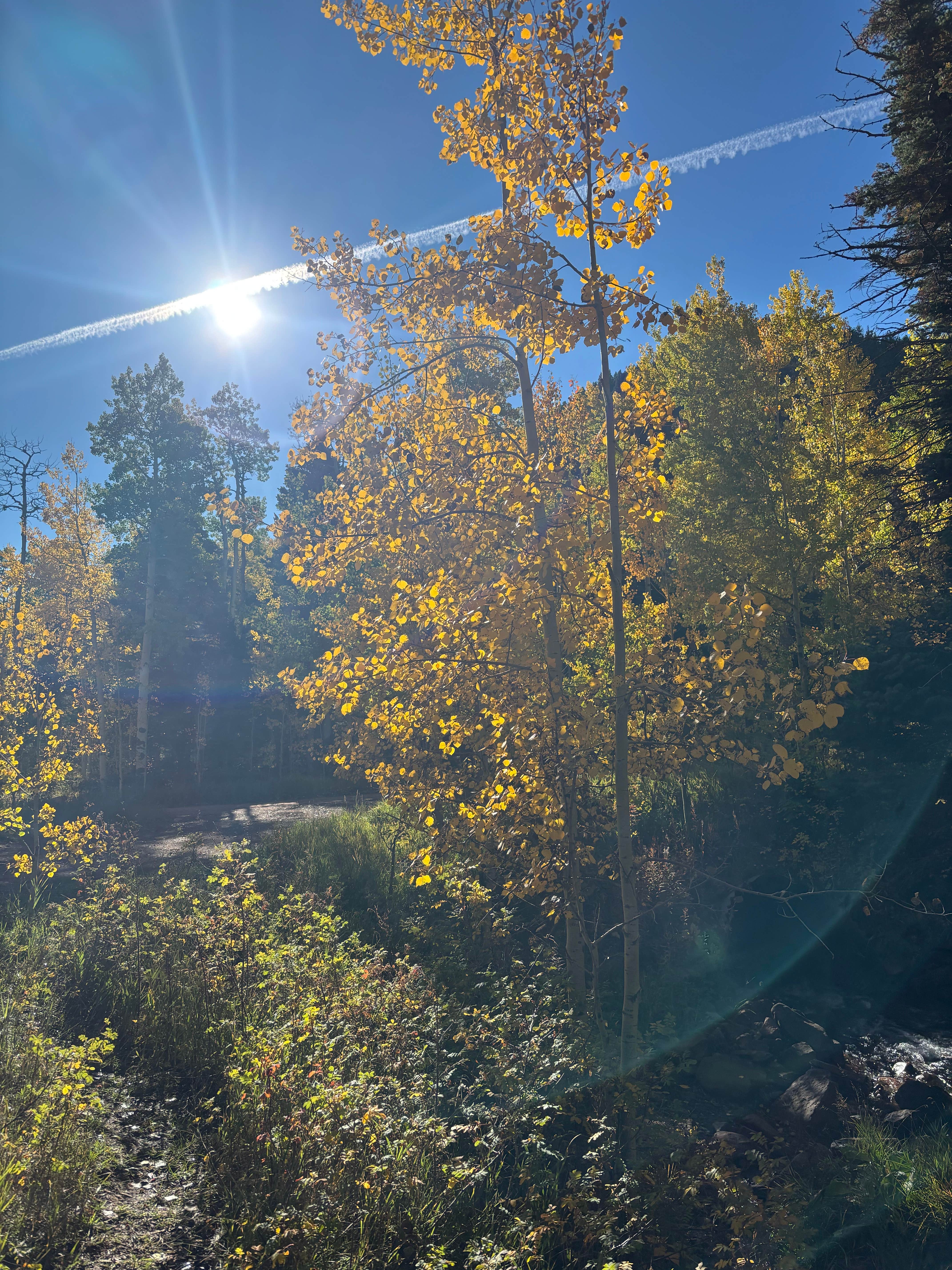 Camper-submitted photo at North Fork Purgatiore River near San Luis, CO