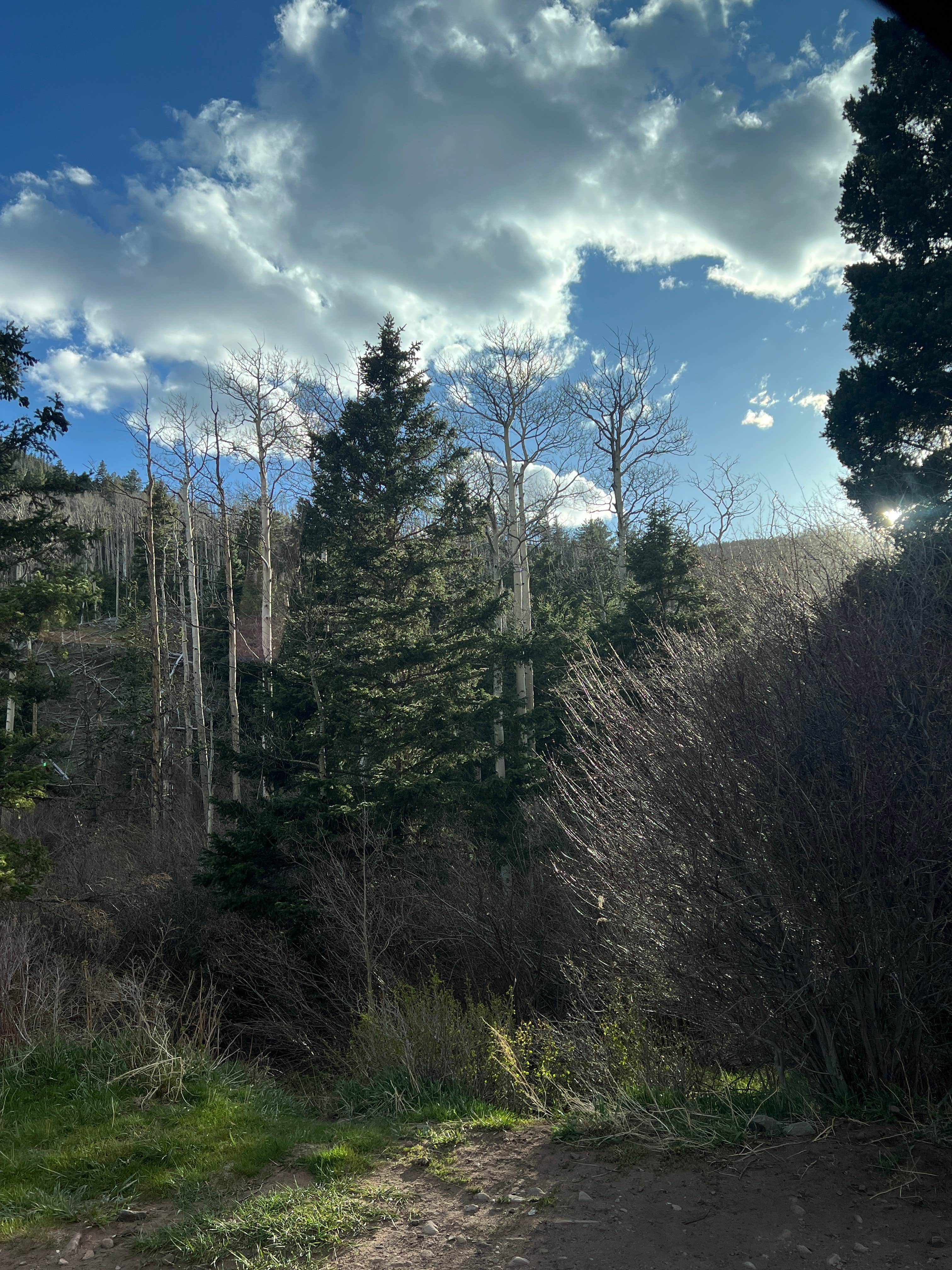 Camper submitted image from North Fork Purgatiore River - 2