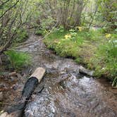 Review photo of North Fork Purgatiore River by Brittany M., September 5, 2025