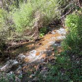 Review photo of North Fork Purgatiore River by Julissa M., August 21, 2025
