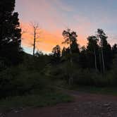 Review photo of North Fork Purgatiore River by William F., June 7, 2026