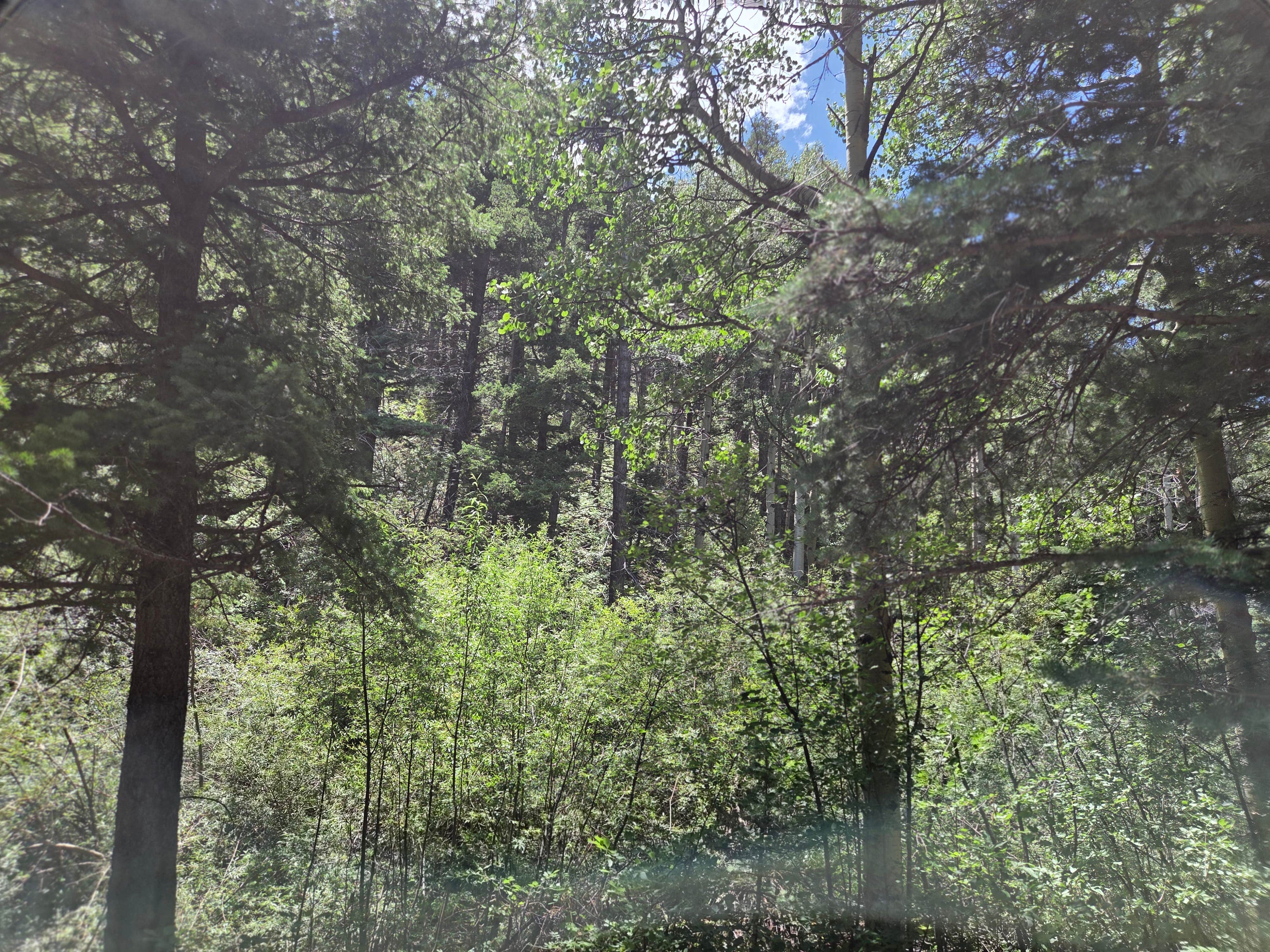 Camper-submitted photo at North Fork Purgatiore River near La Veta, CO