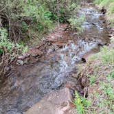 Review photo of North Fork Purgatiore River by William F., June 7, 2026