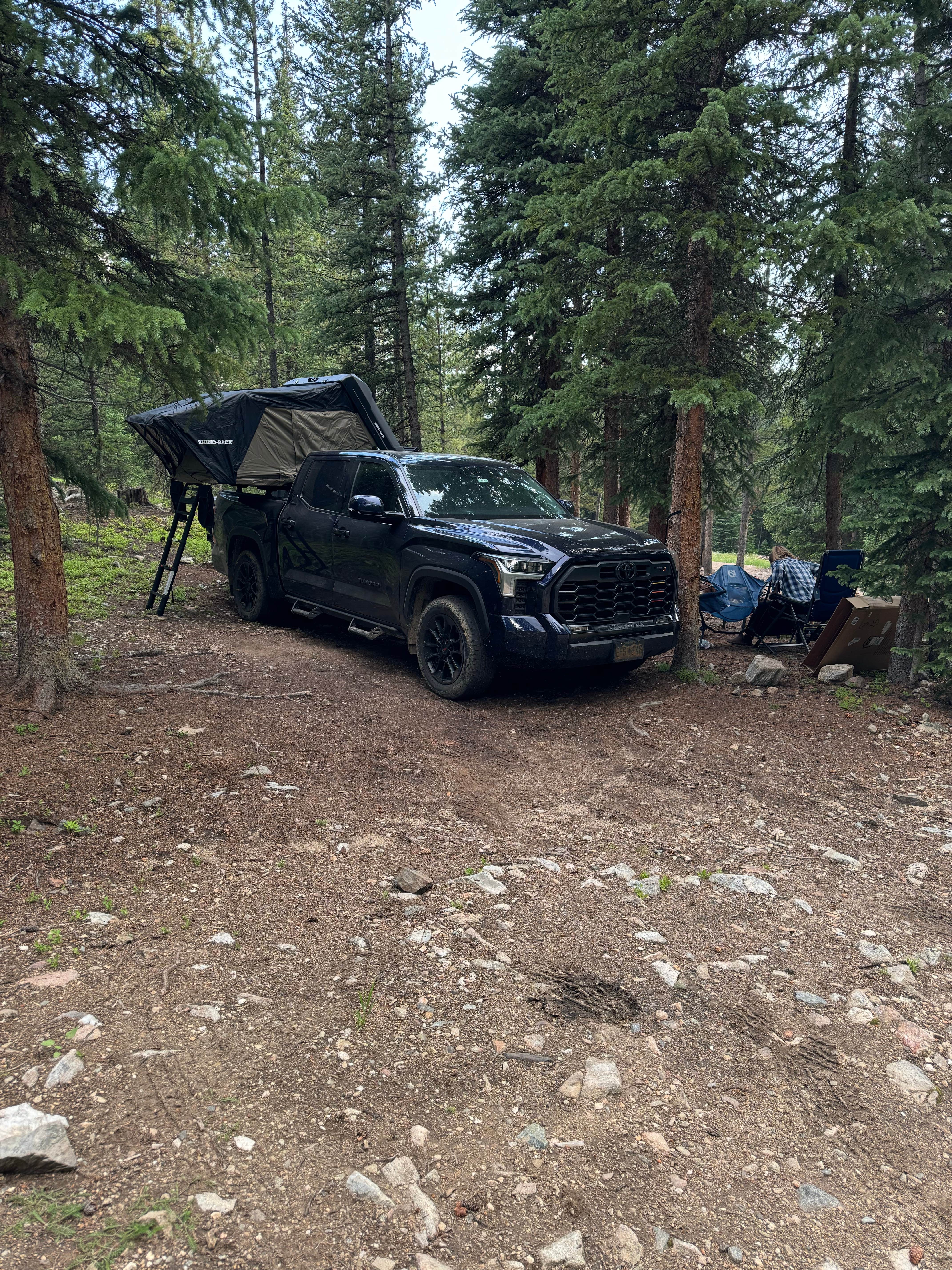 Camper submitted image from North Fork Swan Road #354 - Dispersed Camping - 5