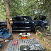 Review photo of North Fork Swan Road #354 - Dispersed Camping by michael H., July 22, 2024