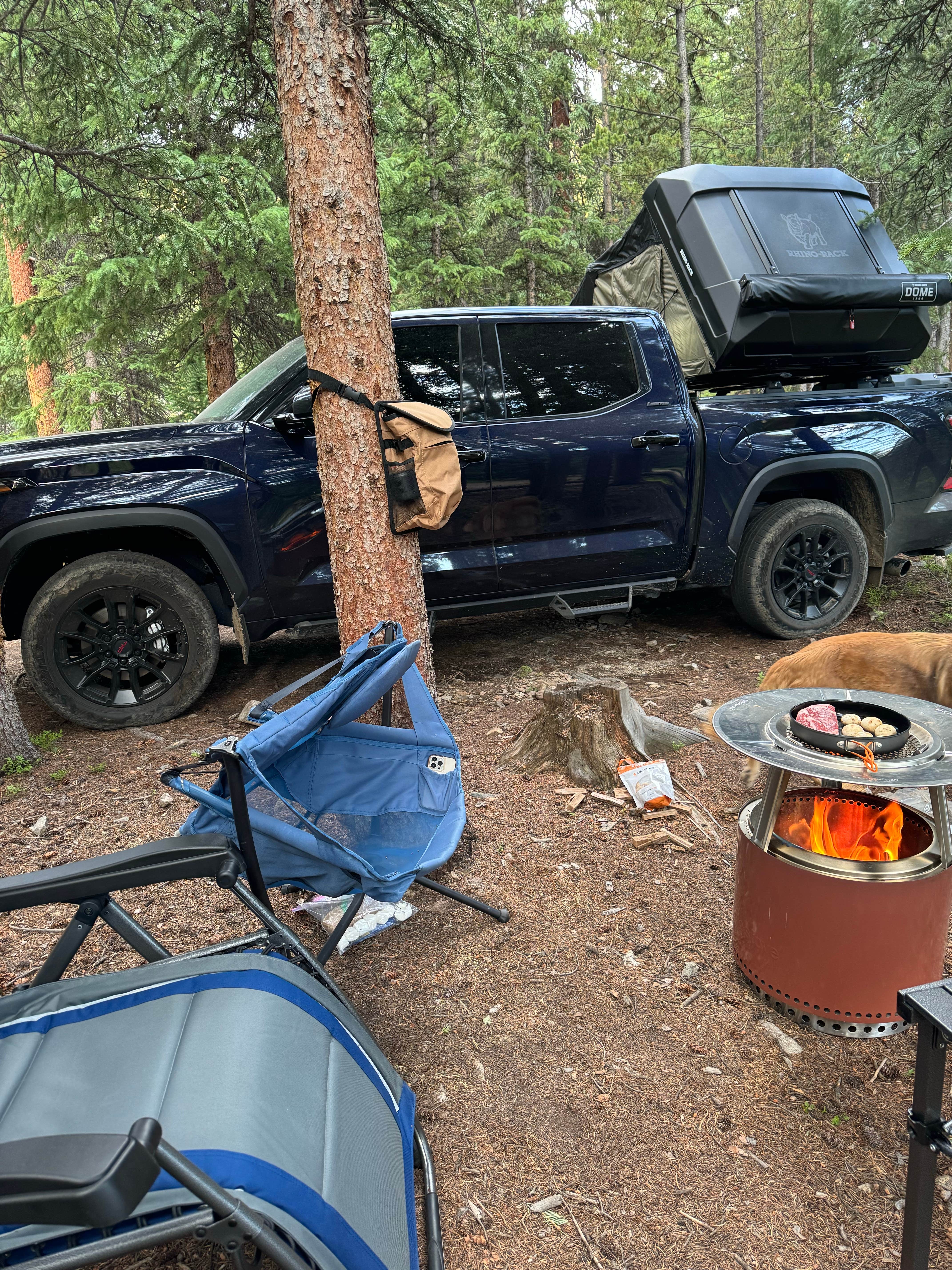 Camper submitted image from North Fork Swan Road #354 - Dispersed Camping - 4