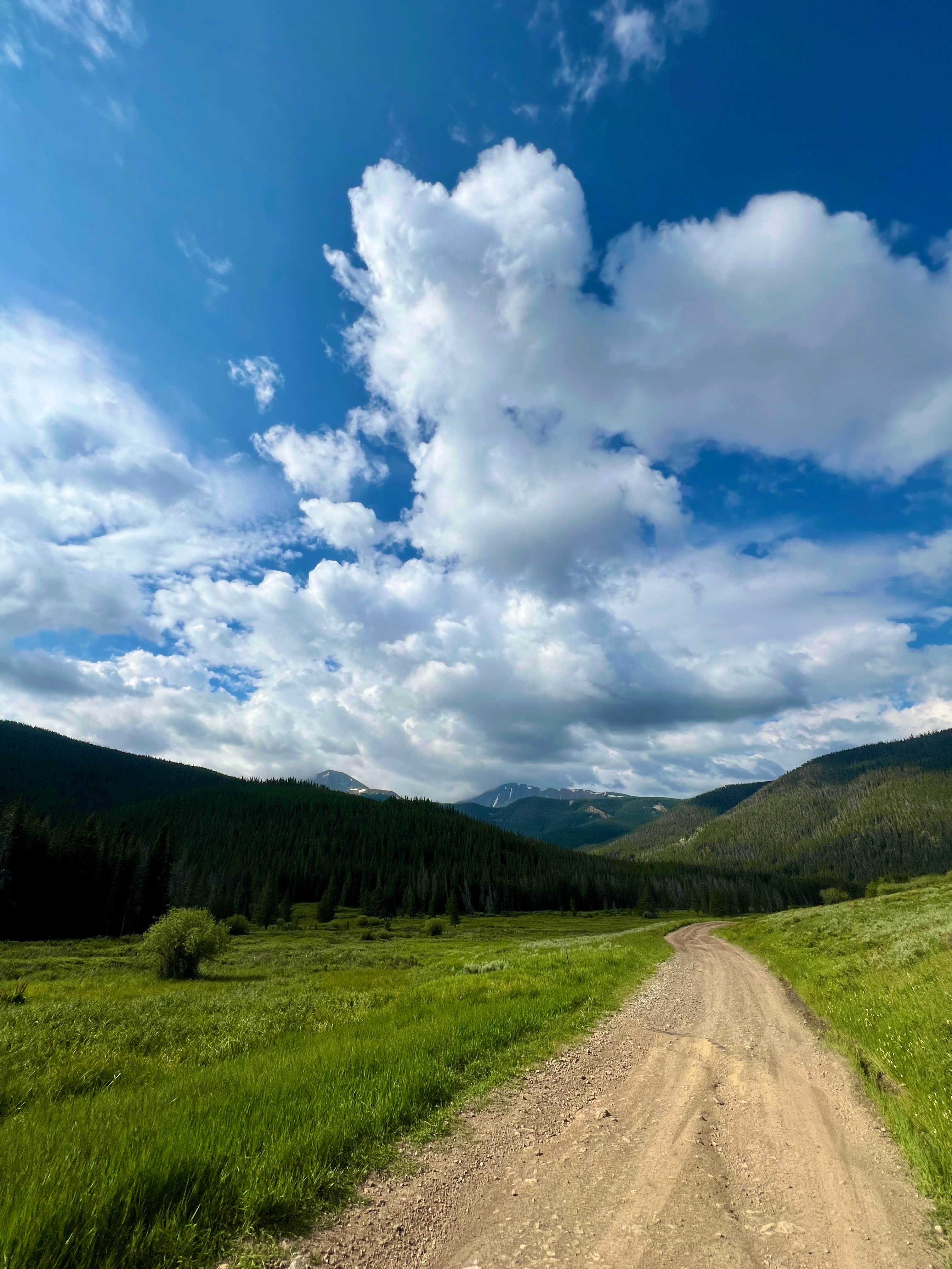 michael H.'s photo of a dispersed camping area at North Fork Swan Road #354 - Dispersed Camping near Como, CO