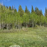 Review photo of North Fork Campground (WY) by susan F., August 1, 2026