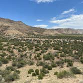 Review photo of North Fruita Desert Lower Campground and Event Area by Andrew P., May 18, 2024