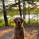 Review photo of North Gemini Lake State Forest Campground by Erin F., August 14, 2026