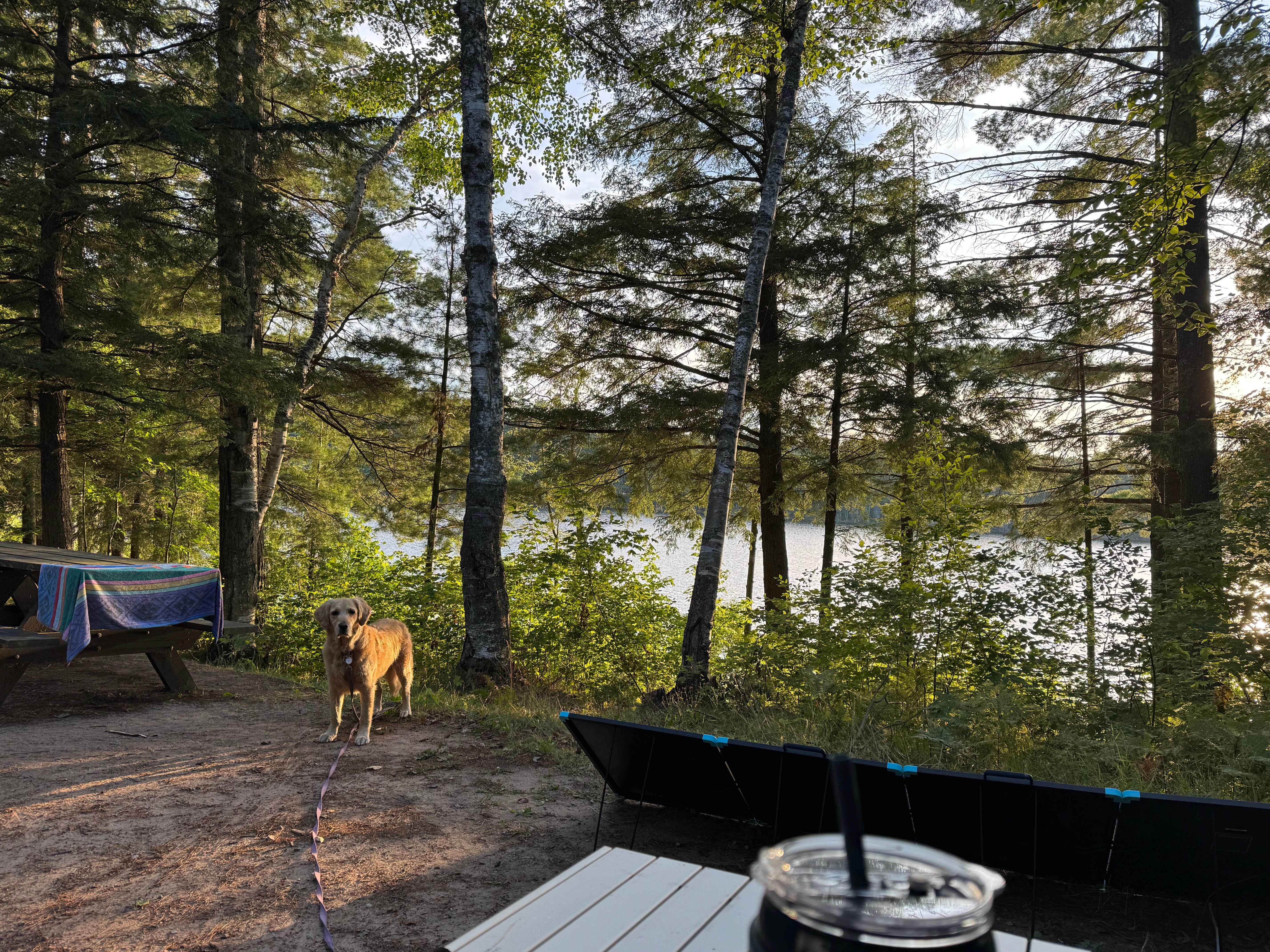 Erin F.'s photo of camping with pets at North Gemini Lake State Forest Campground near Munising, MI