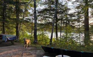 Erin F.'s photo at North Gemini Lake State Forest Campground near Pictured Rocks National Lakeshore