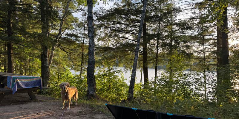 Camper submitted image from North Gemini Lake State Forest Campground