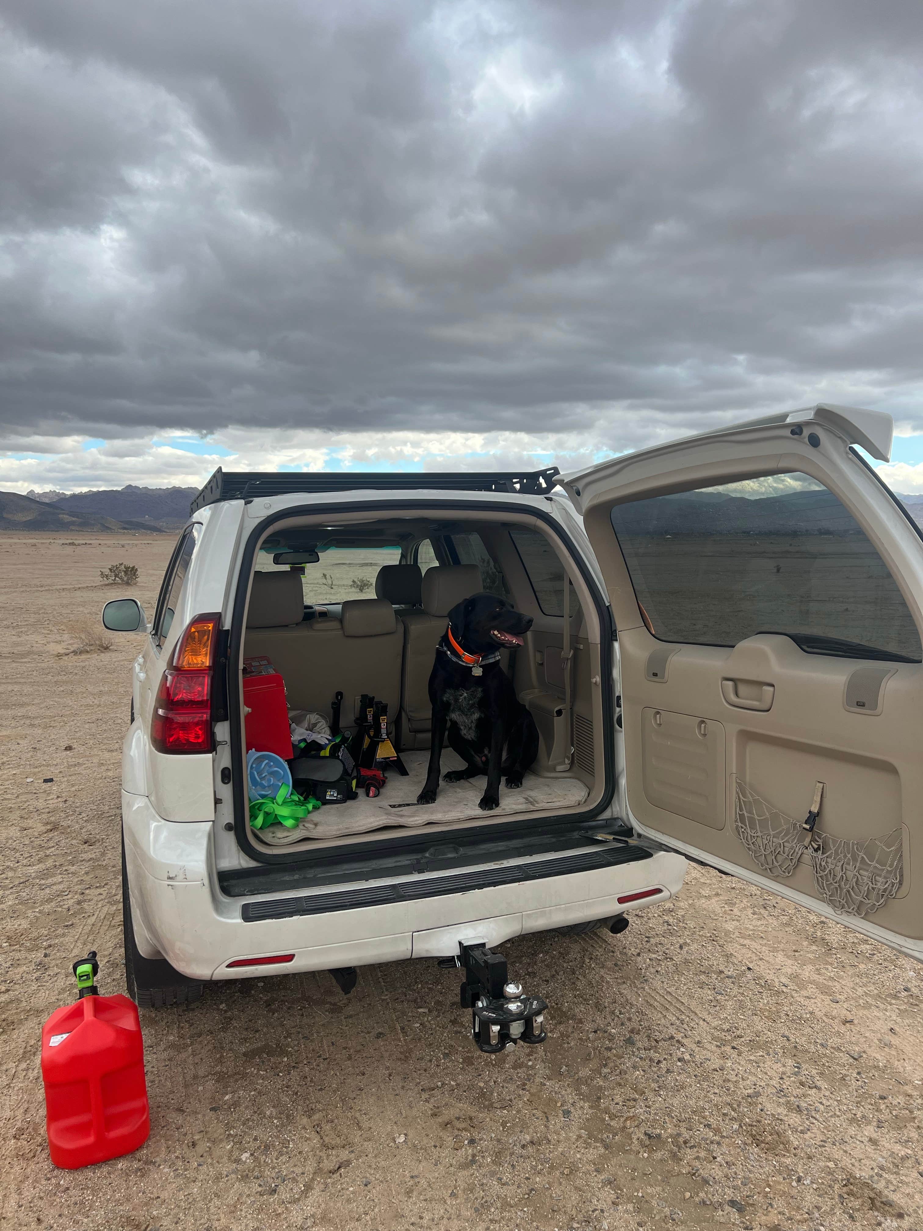 Garrett L.'s photo of camping with pets at North Joshua Tree near Twentynine Palms, CA