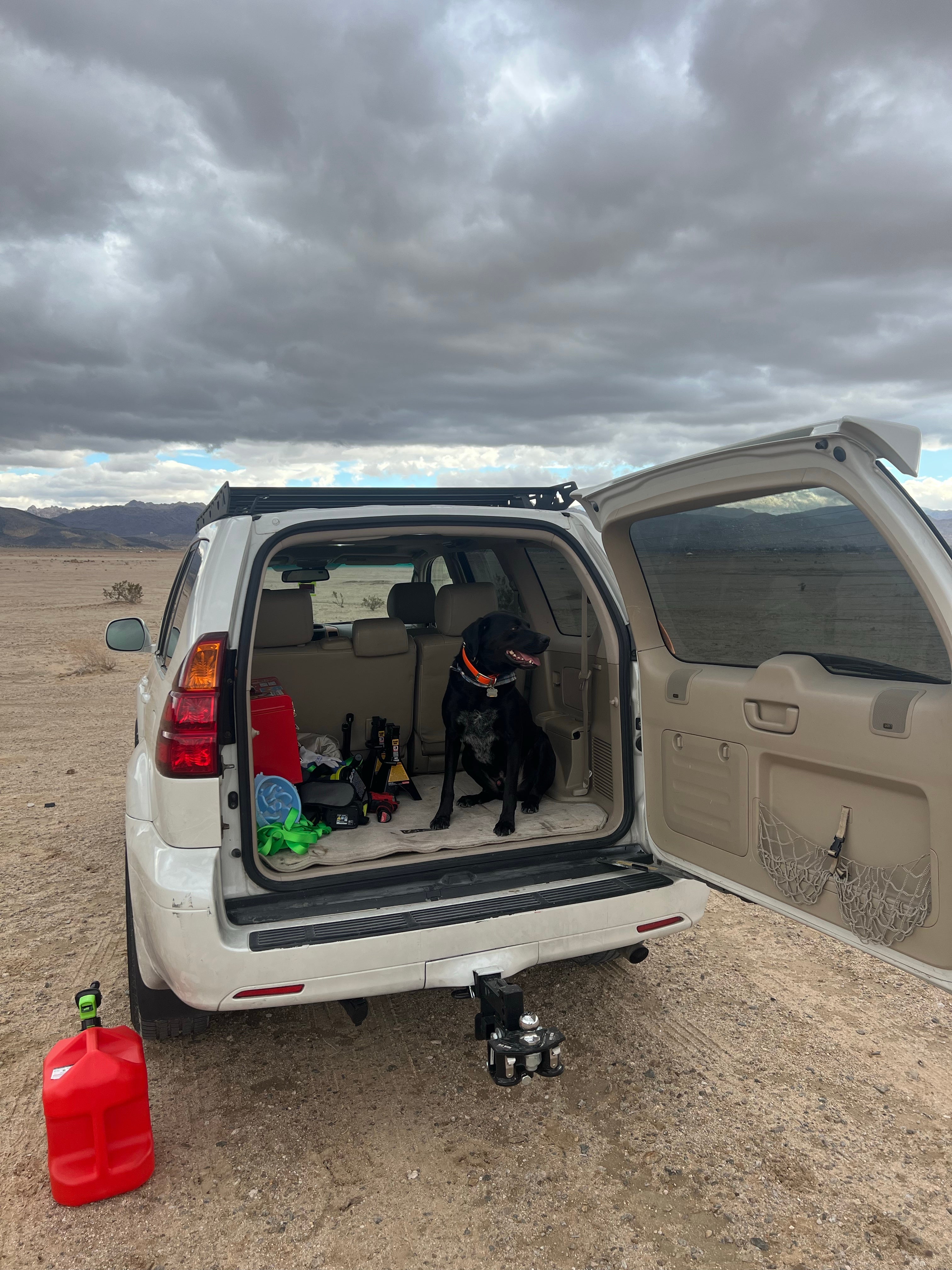 Camper submitted image from North Joshua Tree - 4