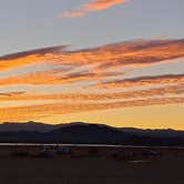 Review photo of North Joshua Tree by Cris B., February 24, 2025
