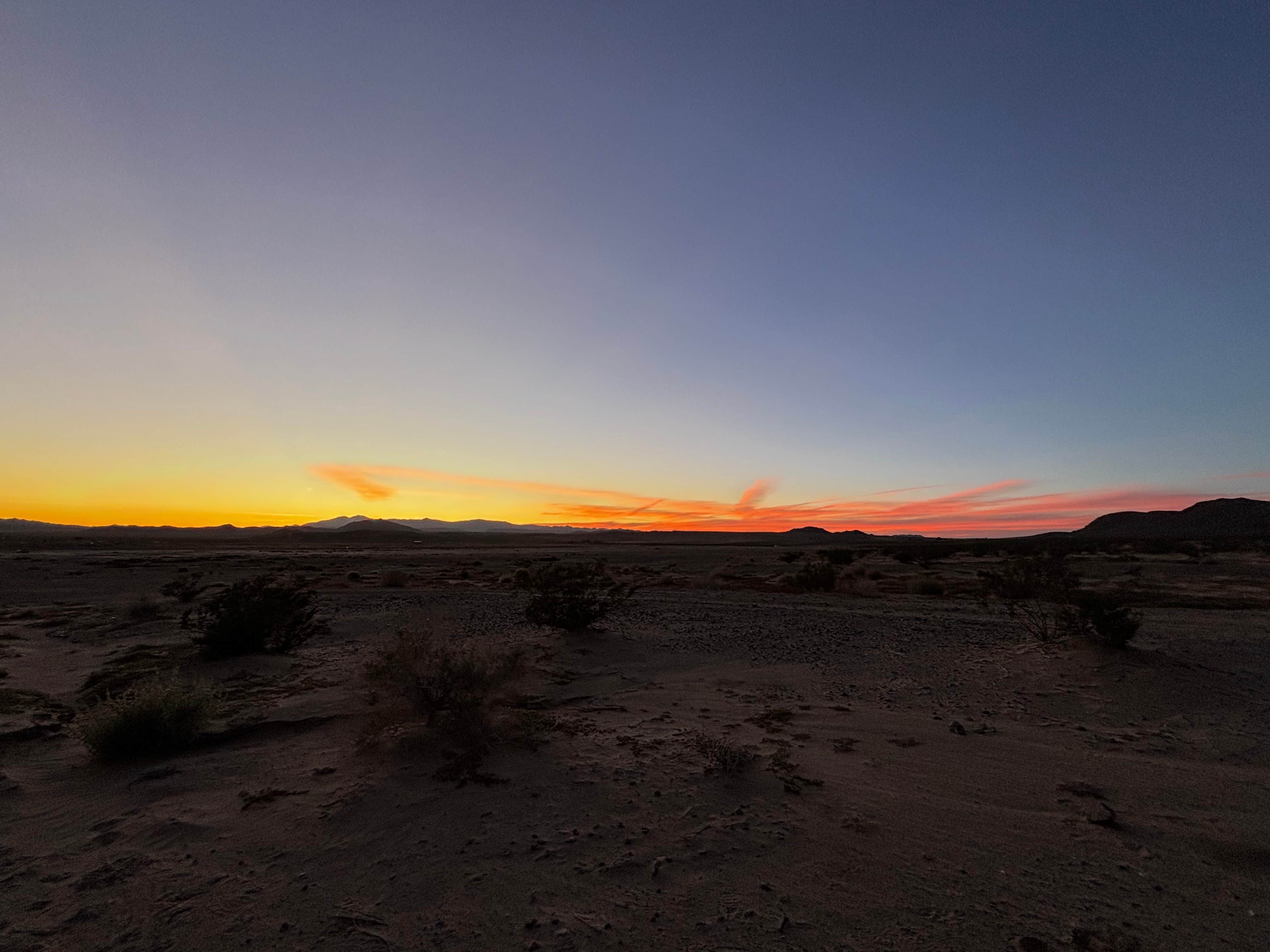 Camper-submitted photo at North Joshua Tree near Twentynine Palms, CA