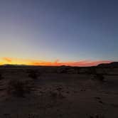 Review photo of North Joshua Tree by Josh P., October 21, 2025