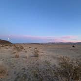 Review photo of North Joshua Tree by Korey K., May 12, 2025