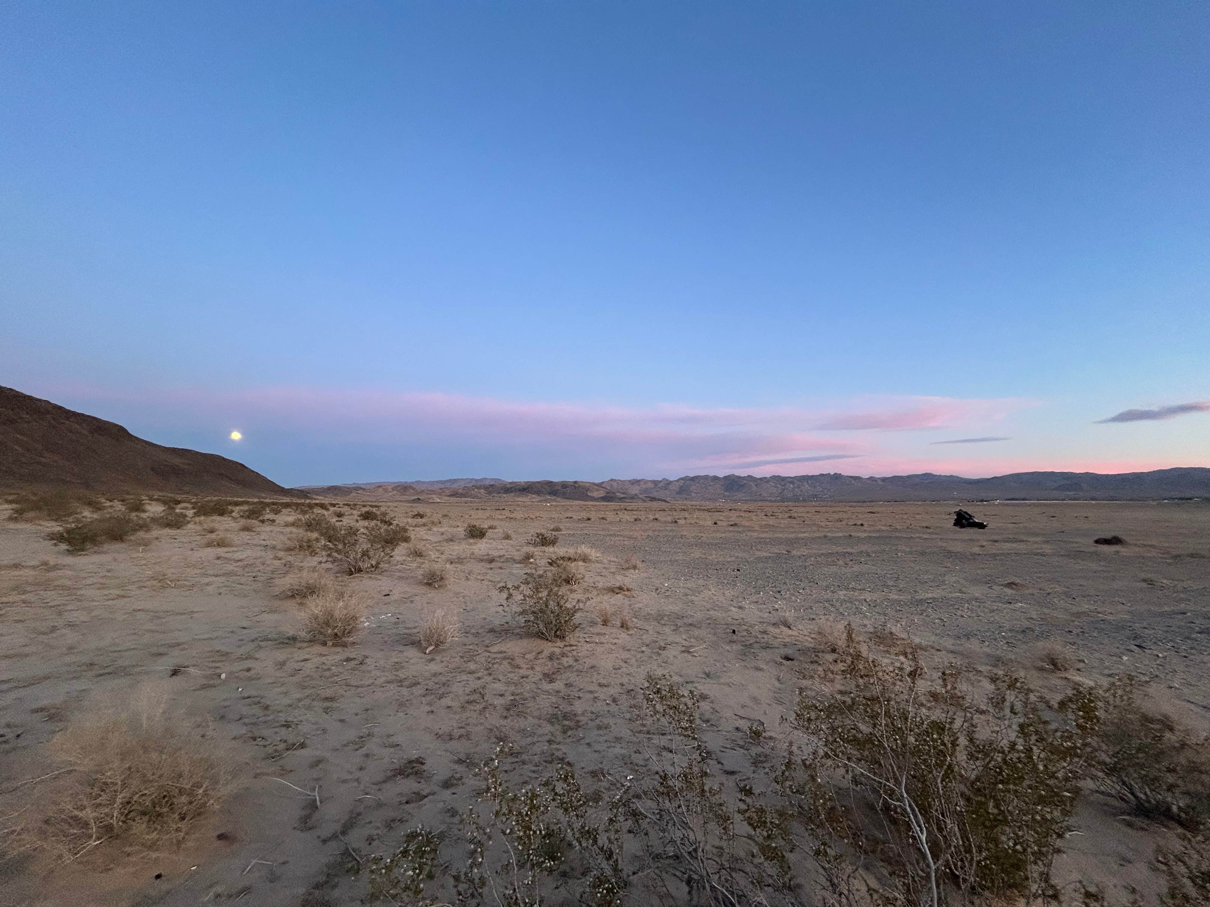 Camper submitted image from North Joshua Tree - 1