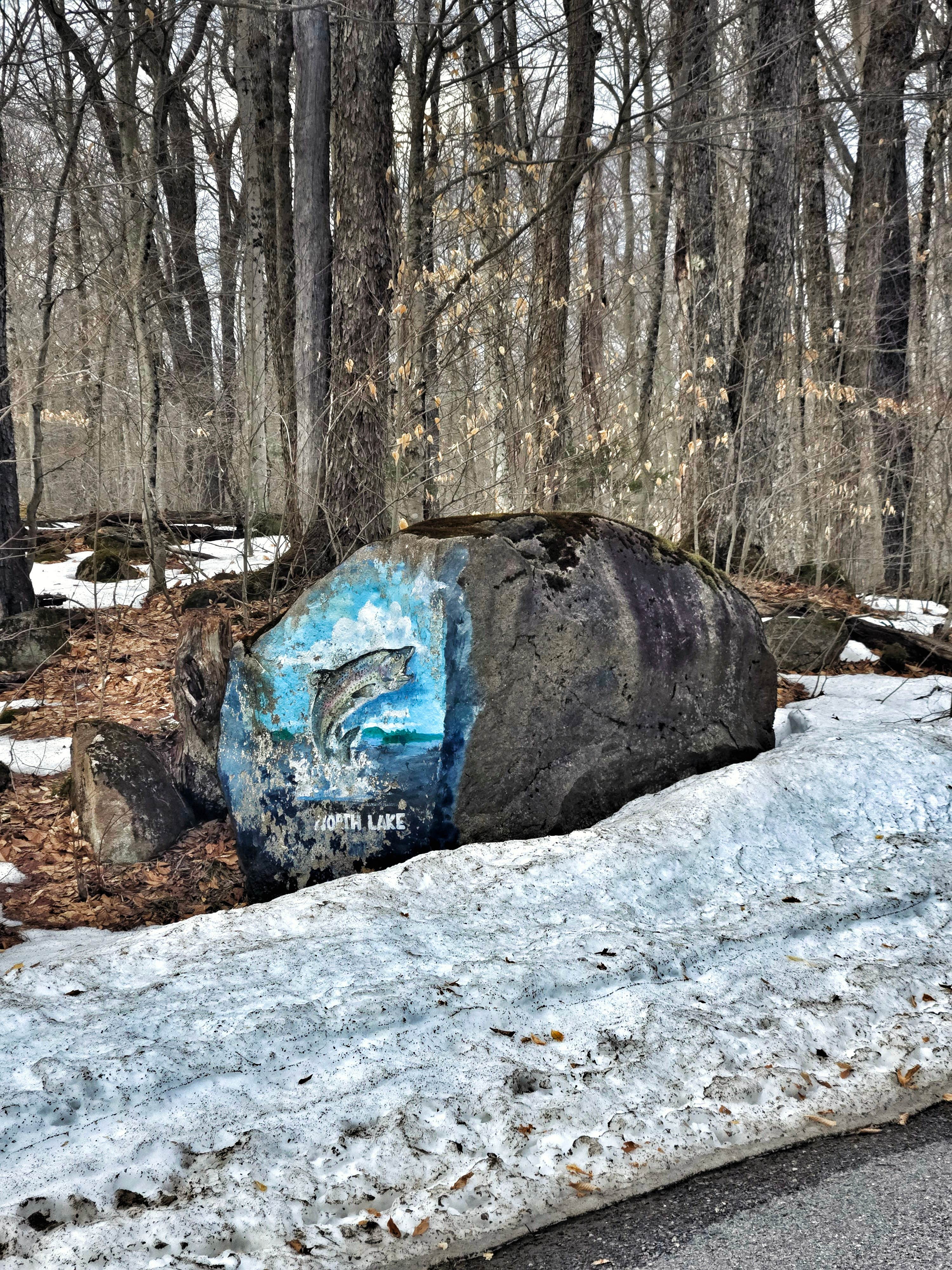 Camping near HTR Adirondacks: North Lake Resevoir, Otter Lake, New York