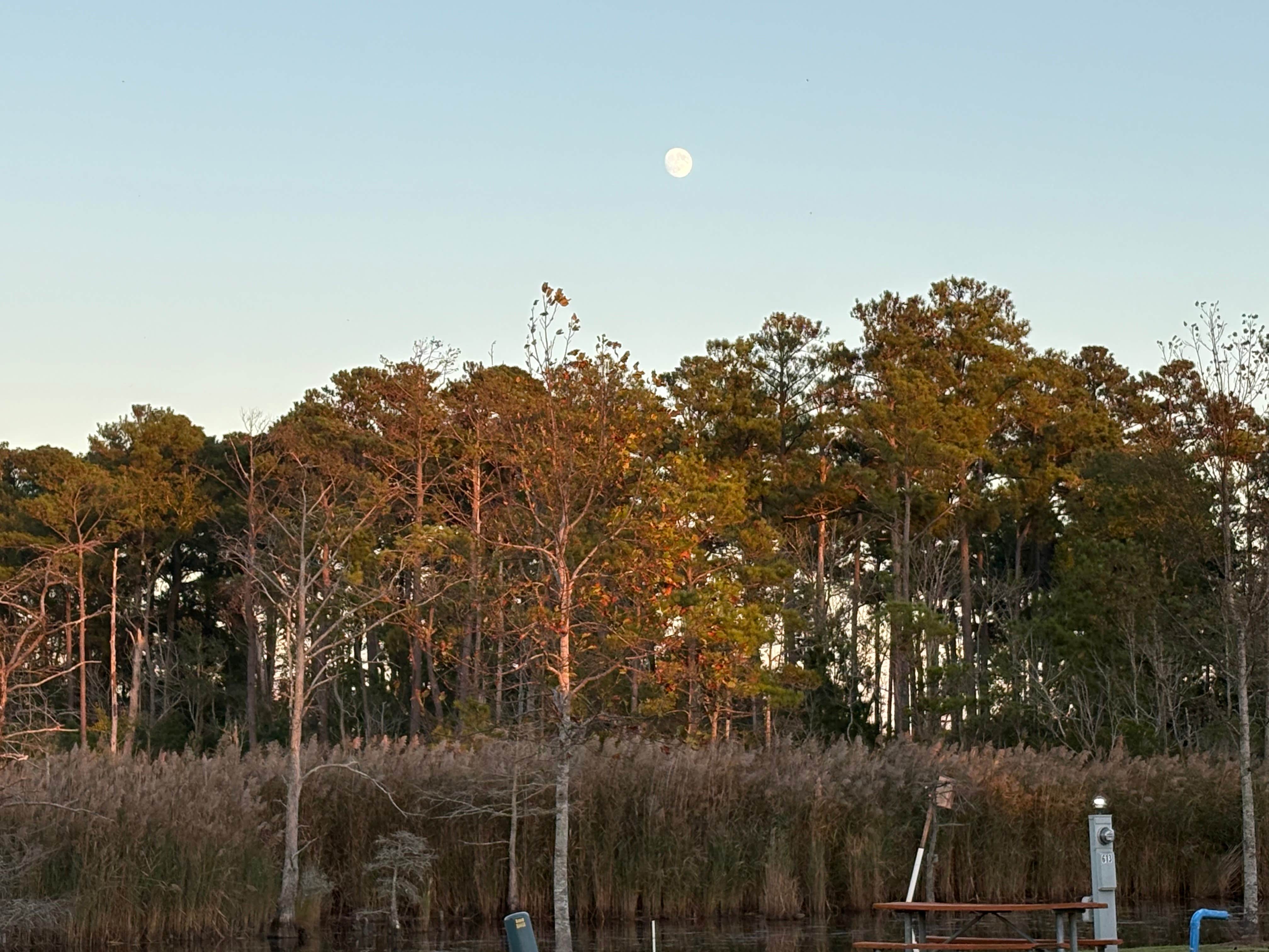 Camper-submitted photo at North Landing Beach Campground near Moyock, NC