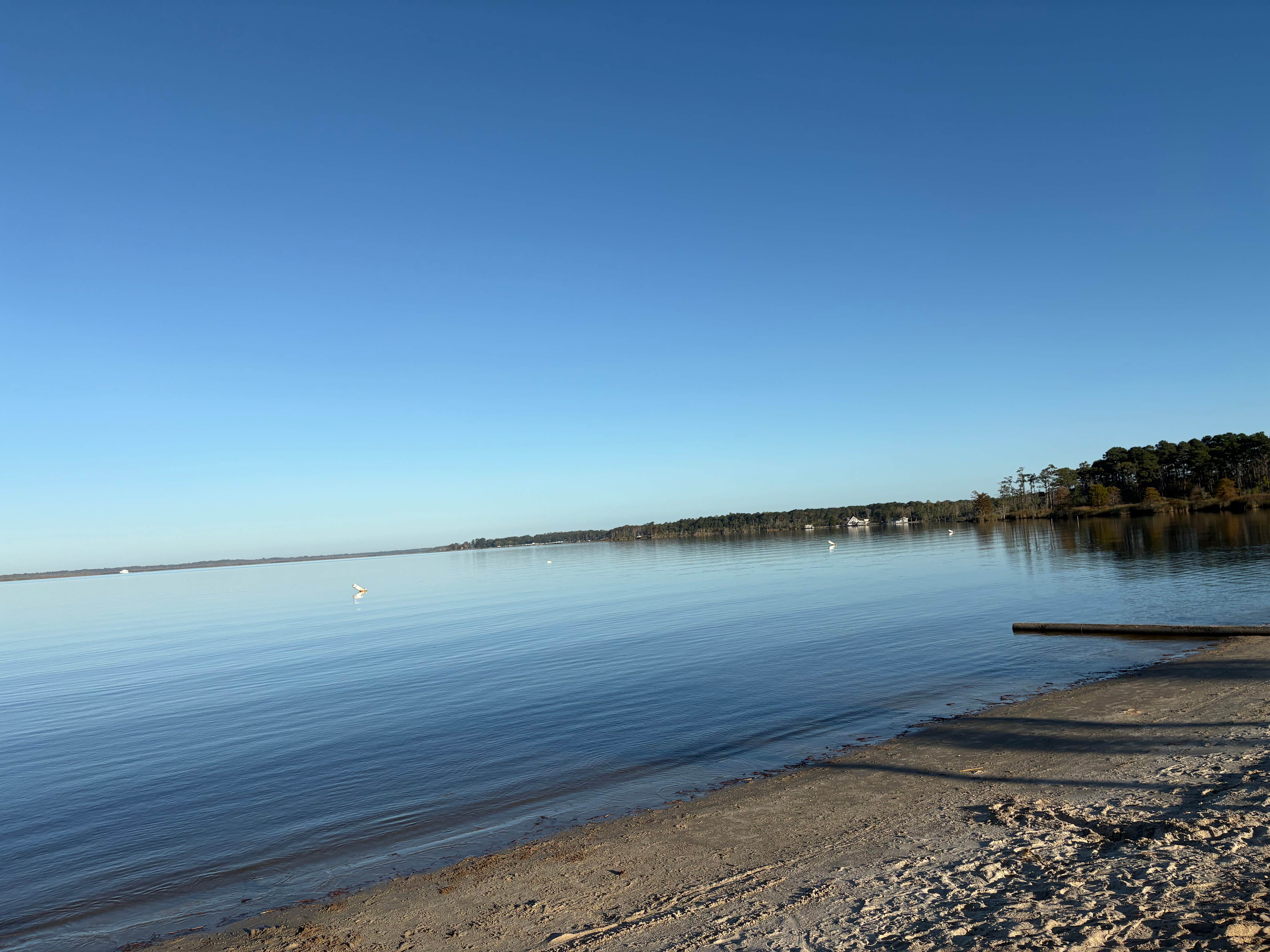 Camper-submitted photo at North Landing Beach Campground near Moyock, NC