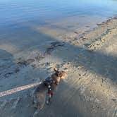 Review photo of North Landing Beach Campground by Beth B., November 24, 2025