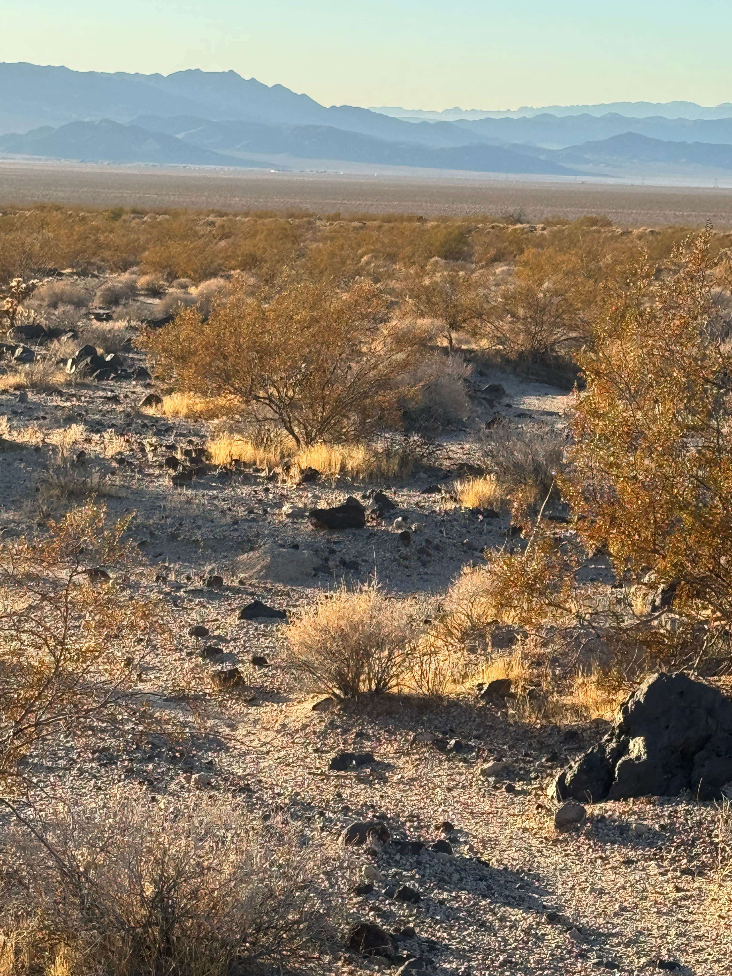 Camper-submitted photo at North Lava Tube Camp near Baker, CA