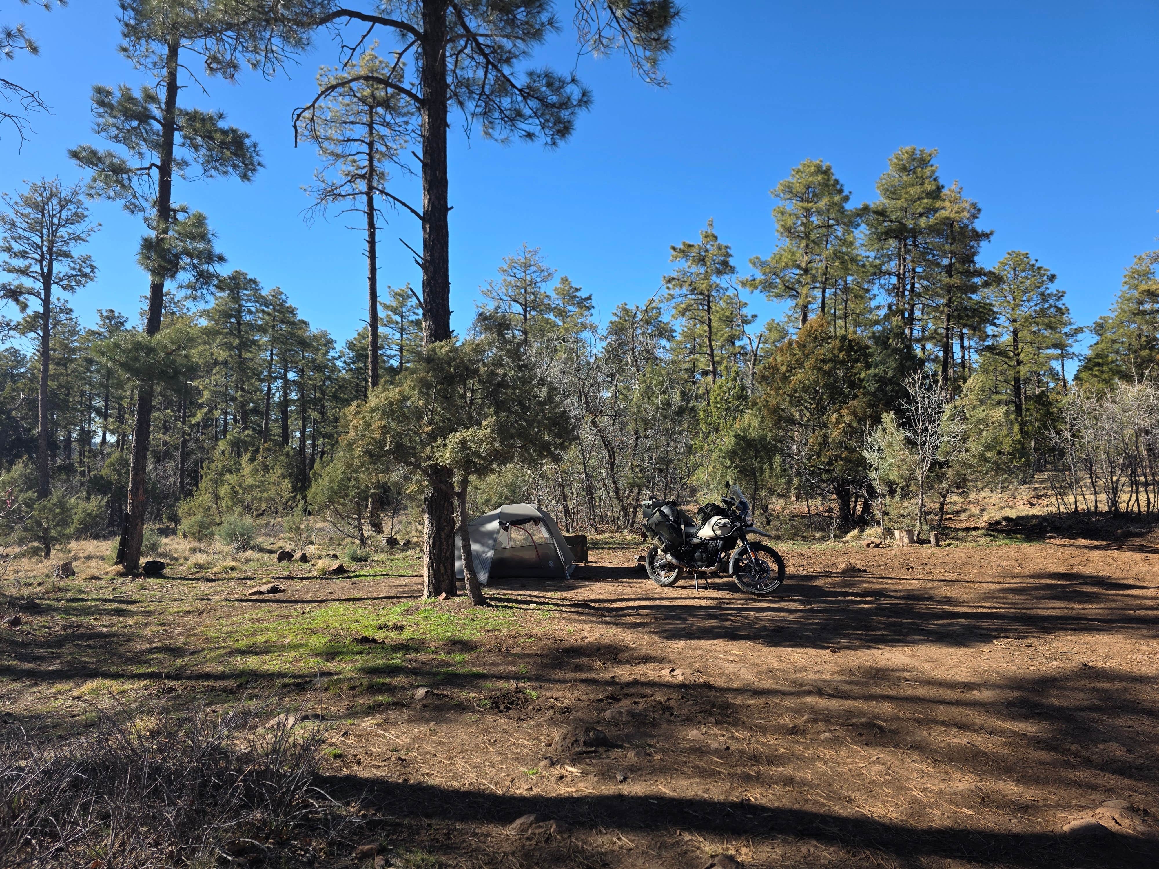 Camper-submitted photo at North Mingus Mountain Basecamp on Forest Road 413 near Prescott Valley, AZ