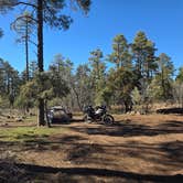 Review photo of North Mingus Mountain Basecamp on Forest Road 413 by John C., March 19, 2026