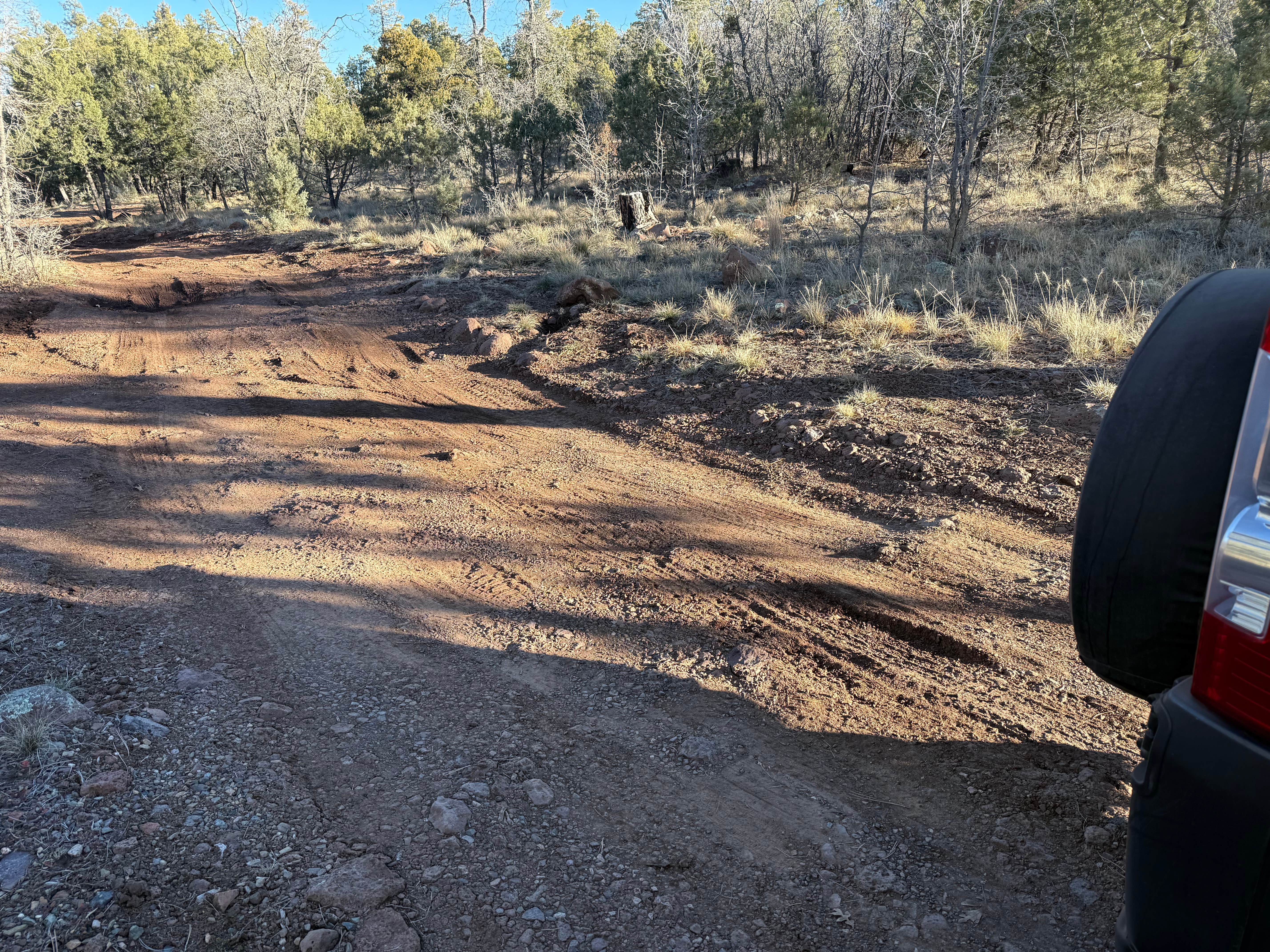 Camper-submitted photo at North Mingus Mountain Basecamp on Forest Road 413 near Jerome, AZ