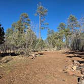 Review photo of North Mingus Mountain Basecamp on Forest Road 413 by John C., March 19, 2026