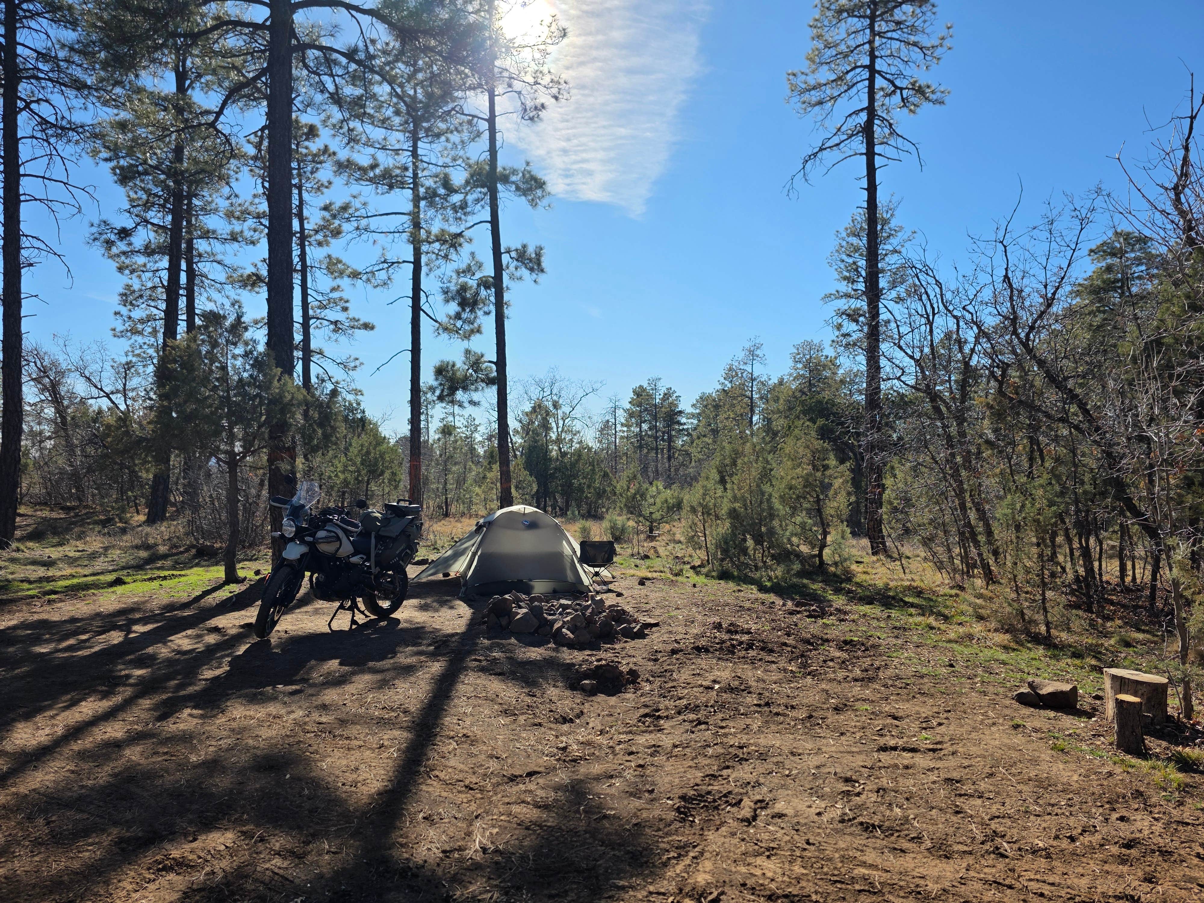 Camping near Cherry Creek Rd: North Mingus Mountain Basecamp on Forest Road 413, Jerome, Arizona