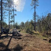 Review photo of North Mingus Mountain Basecamp on Forest Road 413 by John C., March 19, 2026