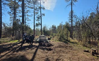 John C.'s photo at North Mingus Mountain Basecamp on Forest Road 413 near Paulden, AZ
