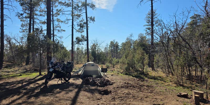 Camper submitted image from North Mingus Mountain Basecamp on Forest Road 413