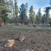 Review photo of North of 4 Tanks by Icy B., May 3, 2026