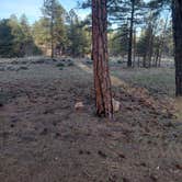 Review photo of North of 4 Tanks by Icy B., May 3, 2026